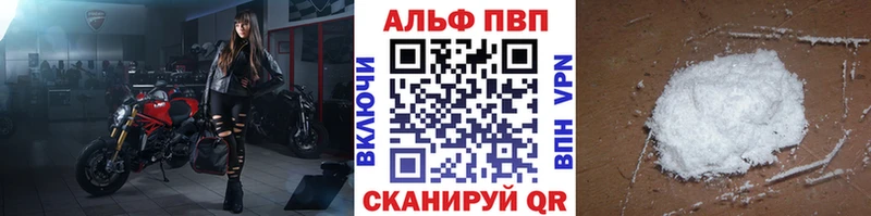 Альфа ПВП СК  Приморск 