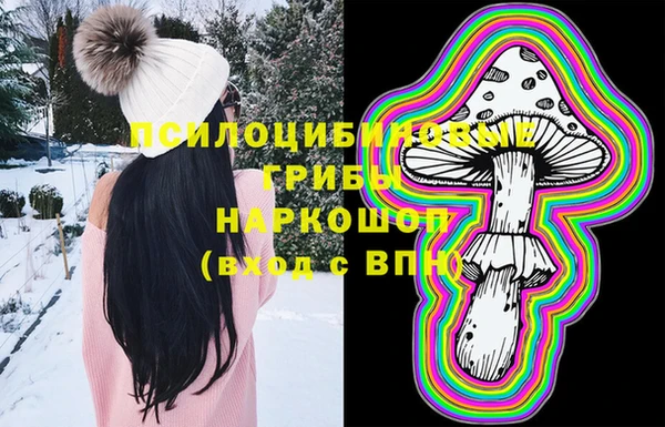 винт Алексин