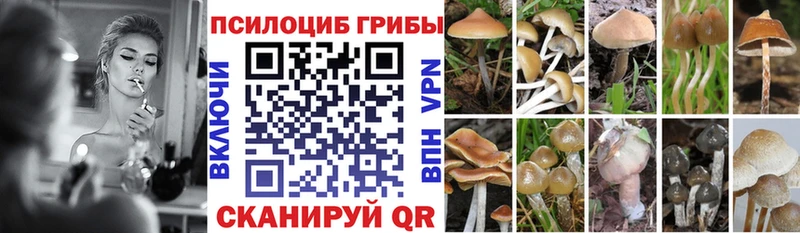 Псилоцибиновые грибы Psilocybe  Приморск 
